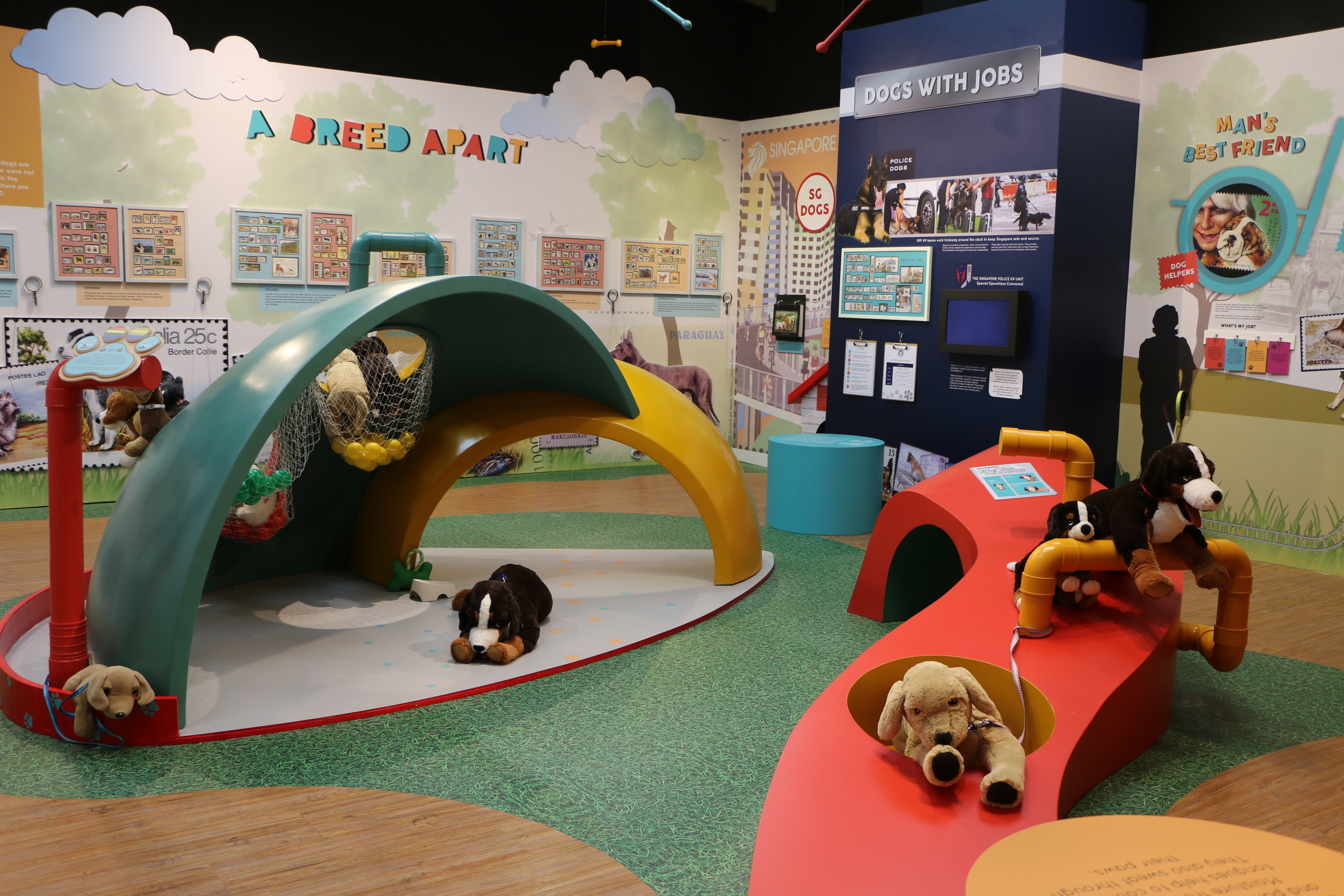 All About Dogs Children's Exhibition