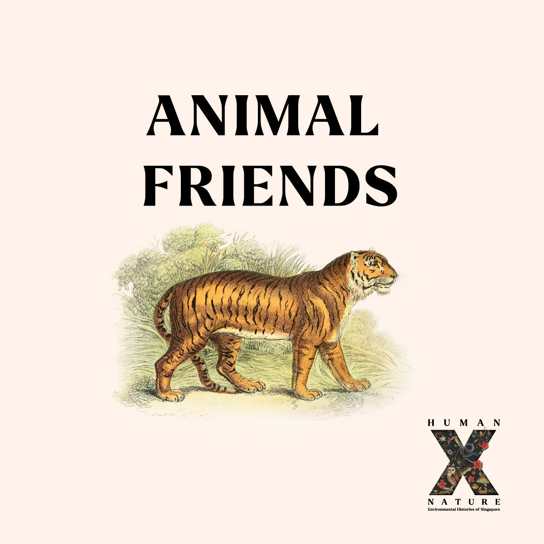 BBB_Animal-Friends