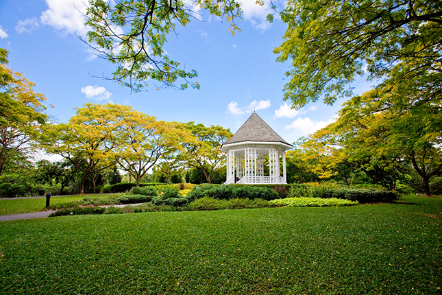 Singapore Botanic Gardens 