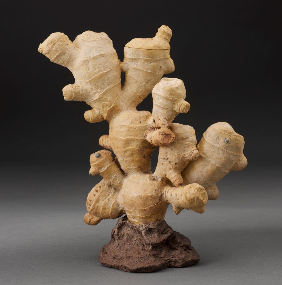 Ginger root-form teapot