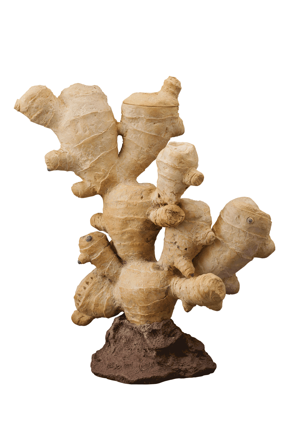 Ginger Root-form Teapot