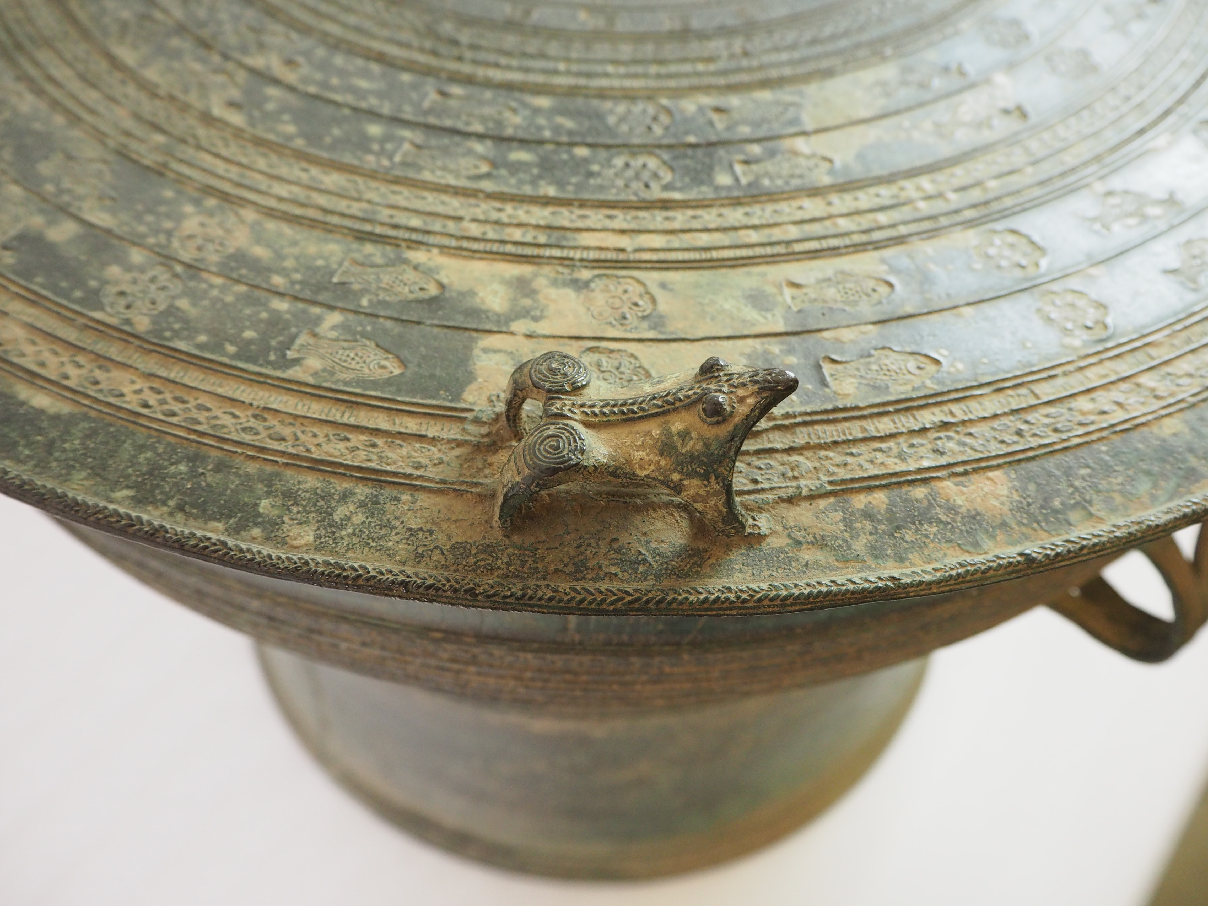 Frog Drum 2