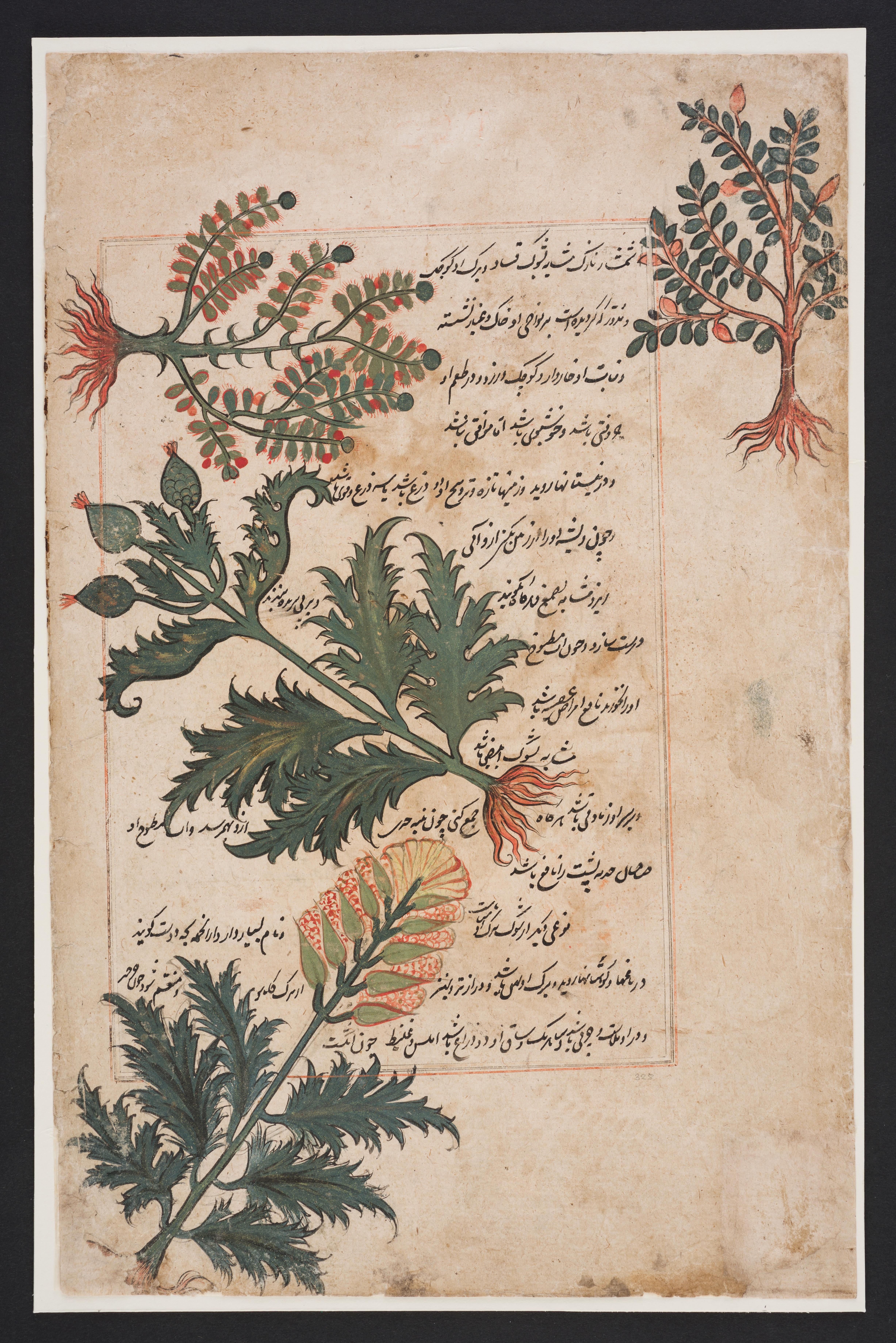 Folio