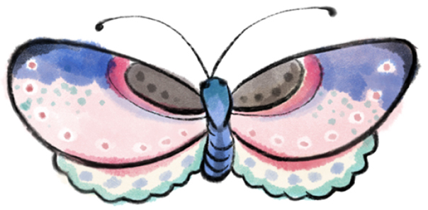 butterfly
