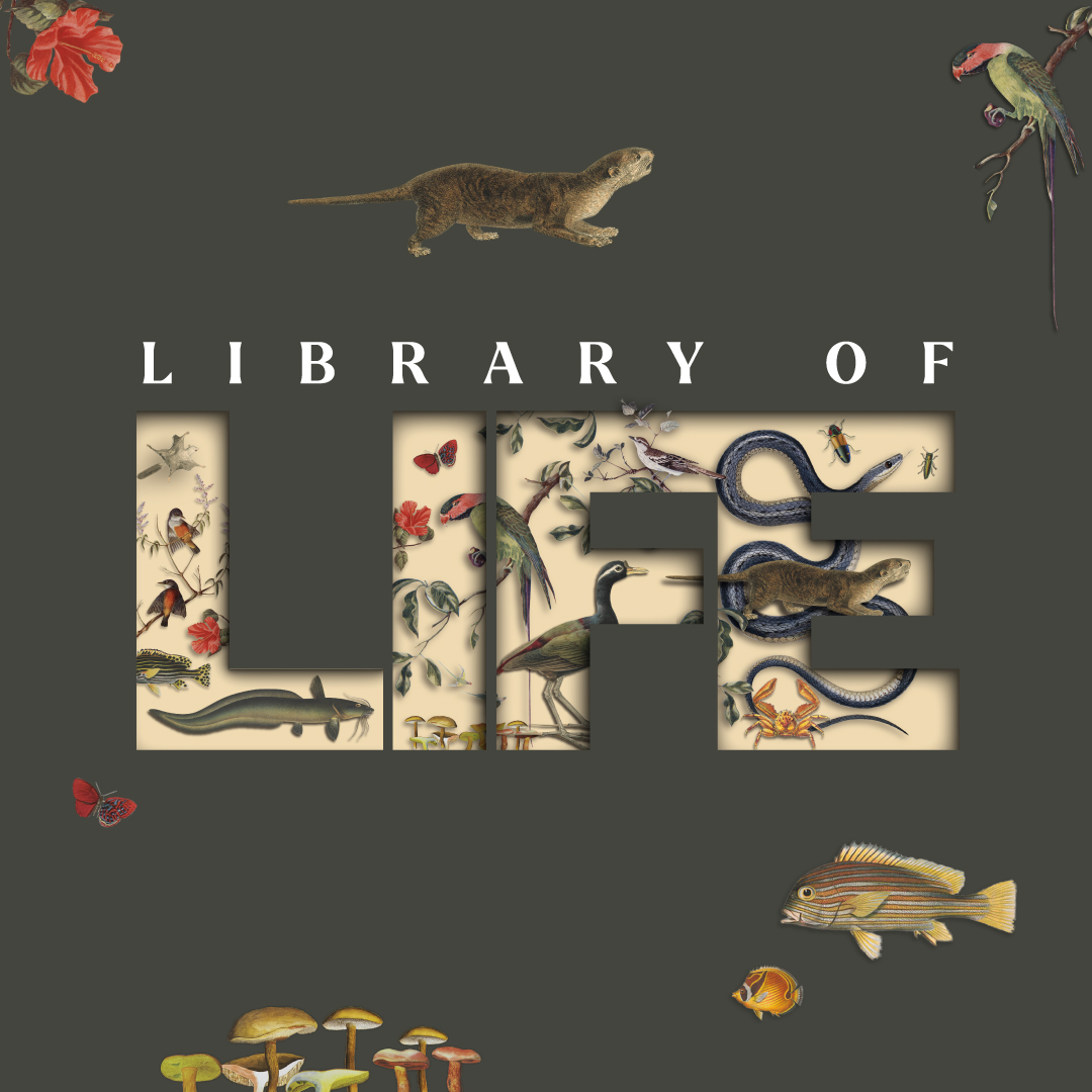 BBB_Library-of-Life
