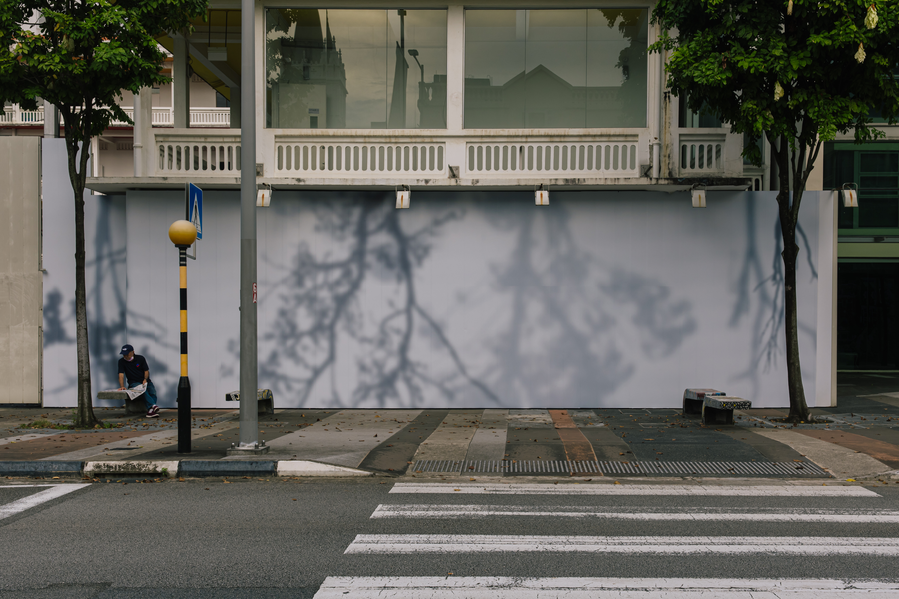 Installation view of Yeyoon Avis Anns Trees Upsidedown 2023 as part of SAM Contemporaries Residues  Remixes at the SAM hoarding along Queen Street Image courtesy of Singapore Art Museum