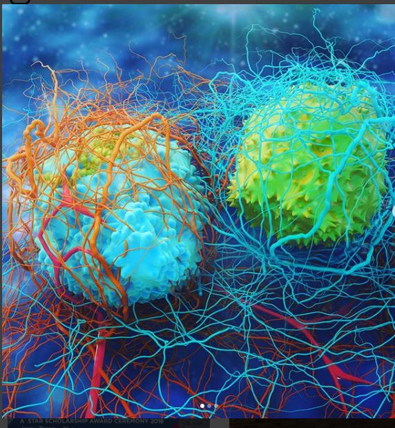 Beautiful Science Cancer Cells