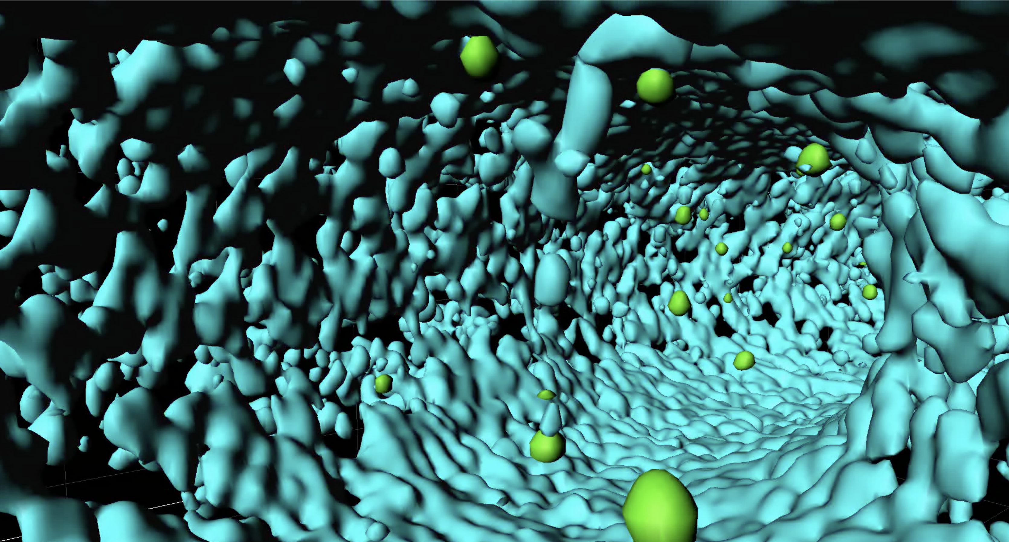 Dynamic beauty image