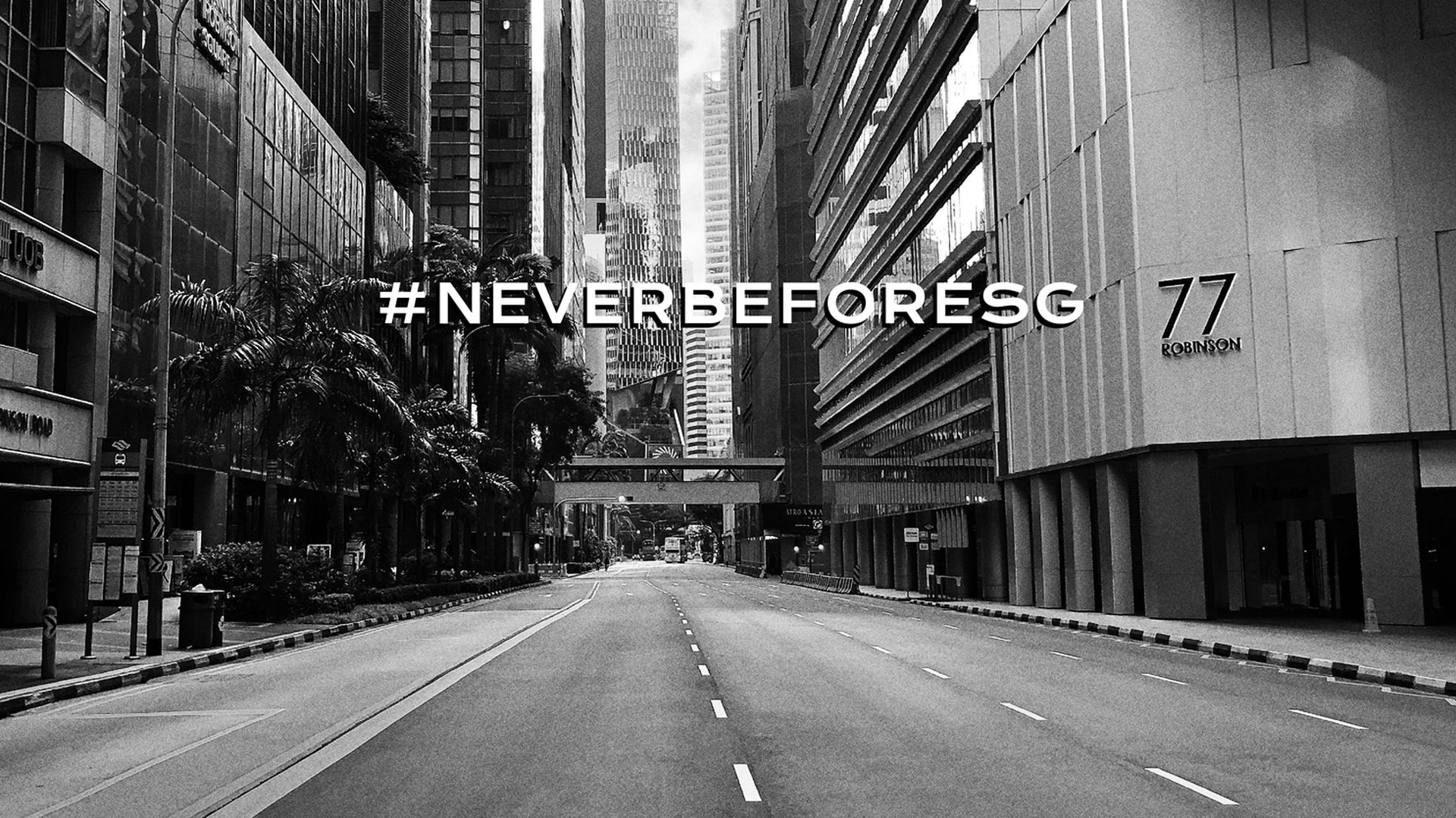 NB Banner-01
