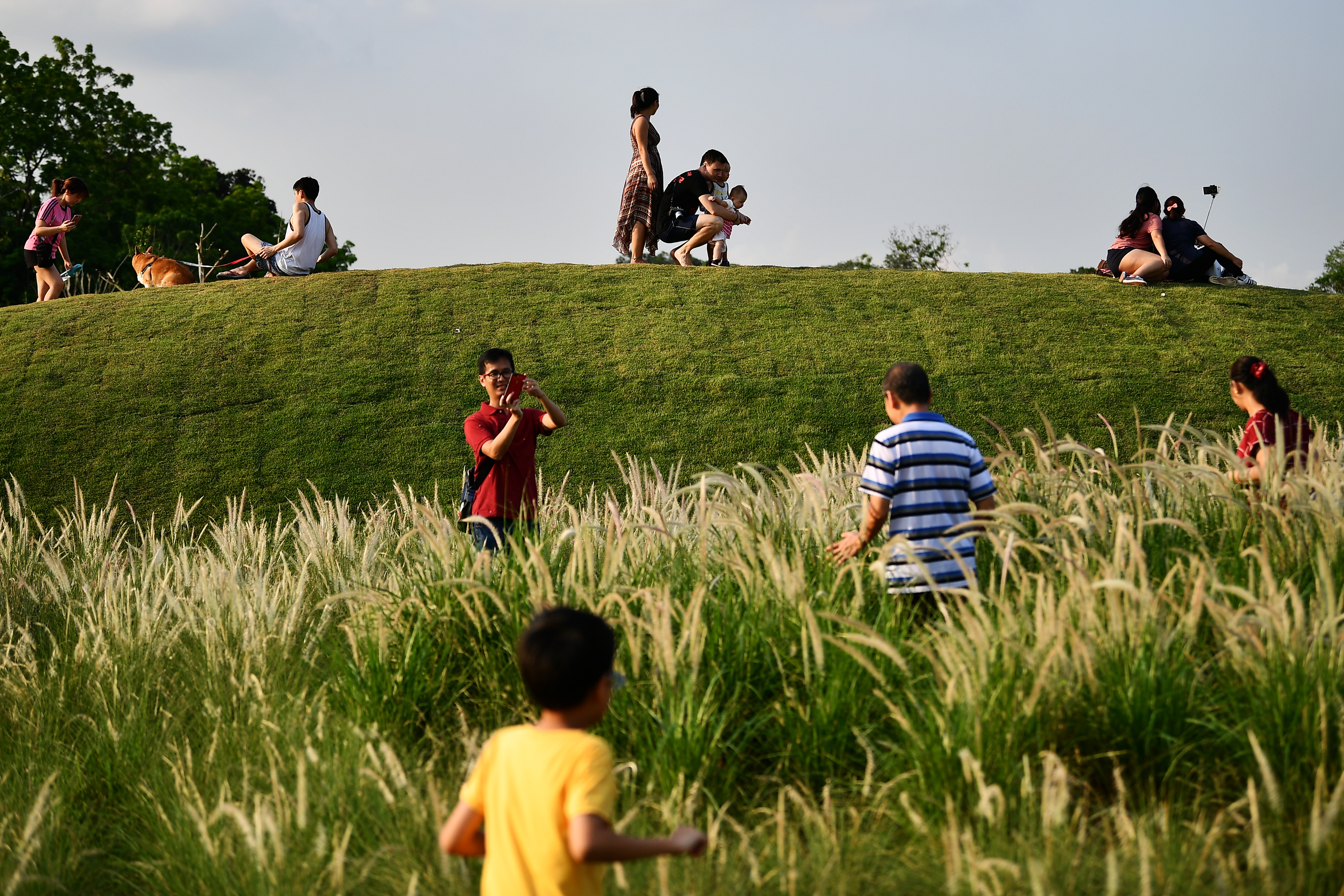 Lim Yaohui, The Straits Times