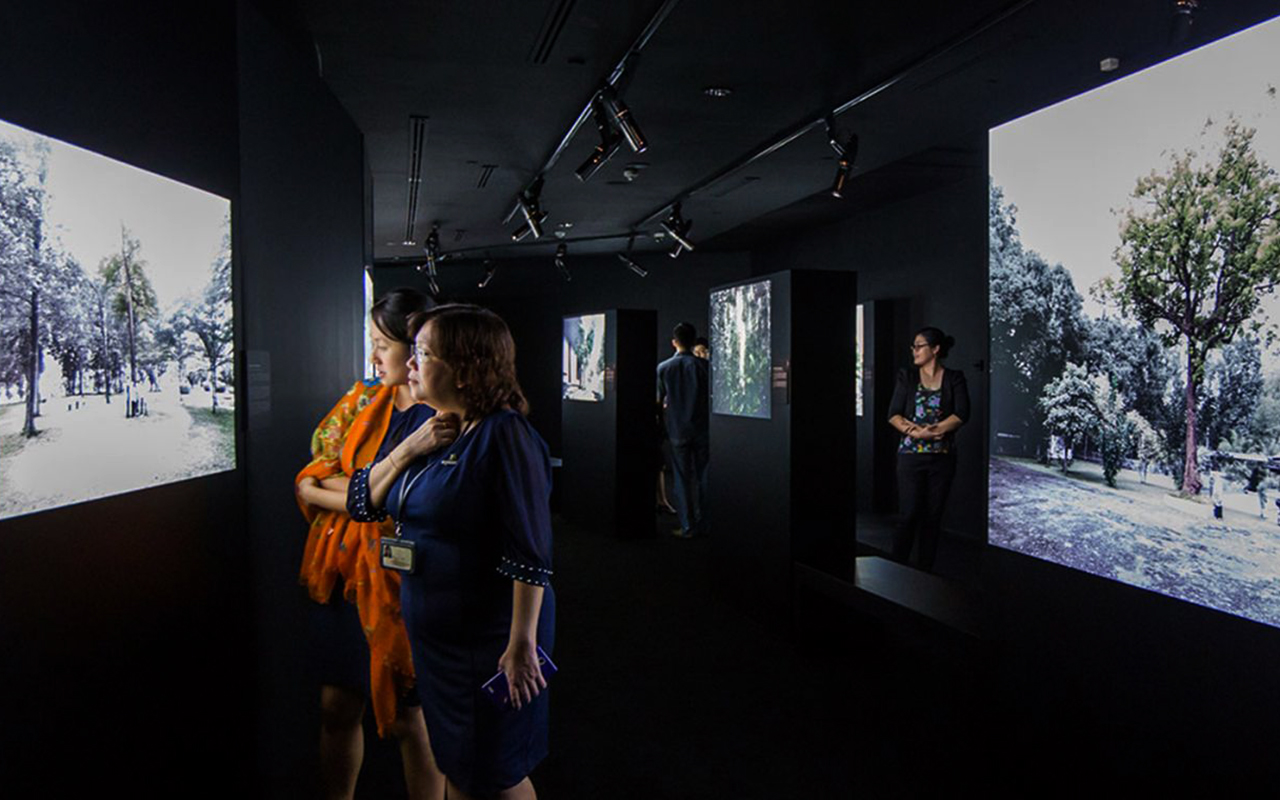 Singapore, Very Old Tree exhibition visitors
