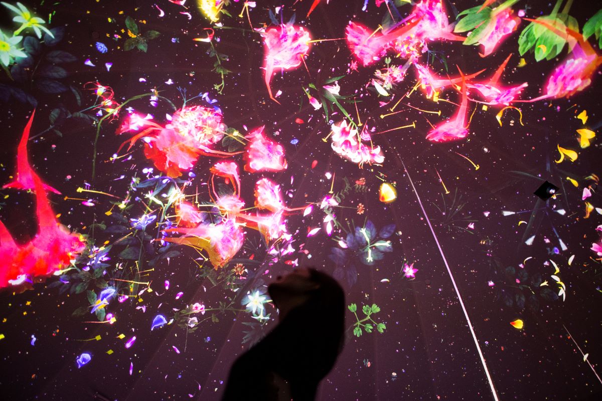 Story of the Forest by teamLab