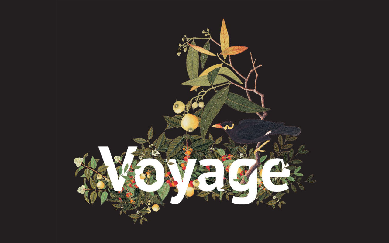 Voyage