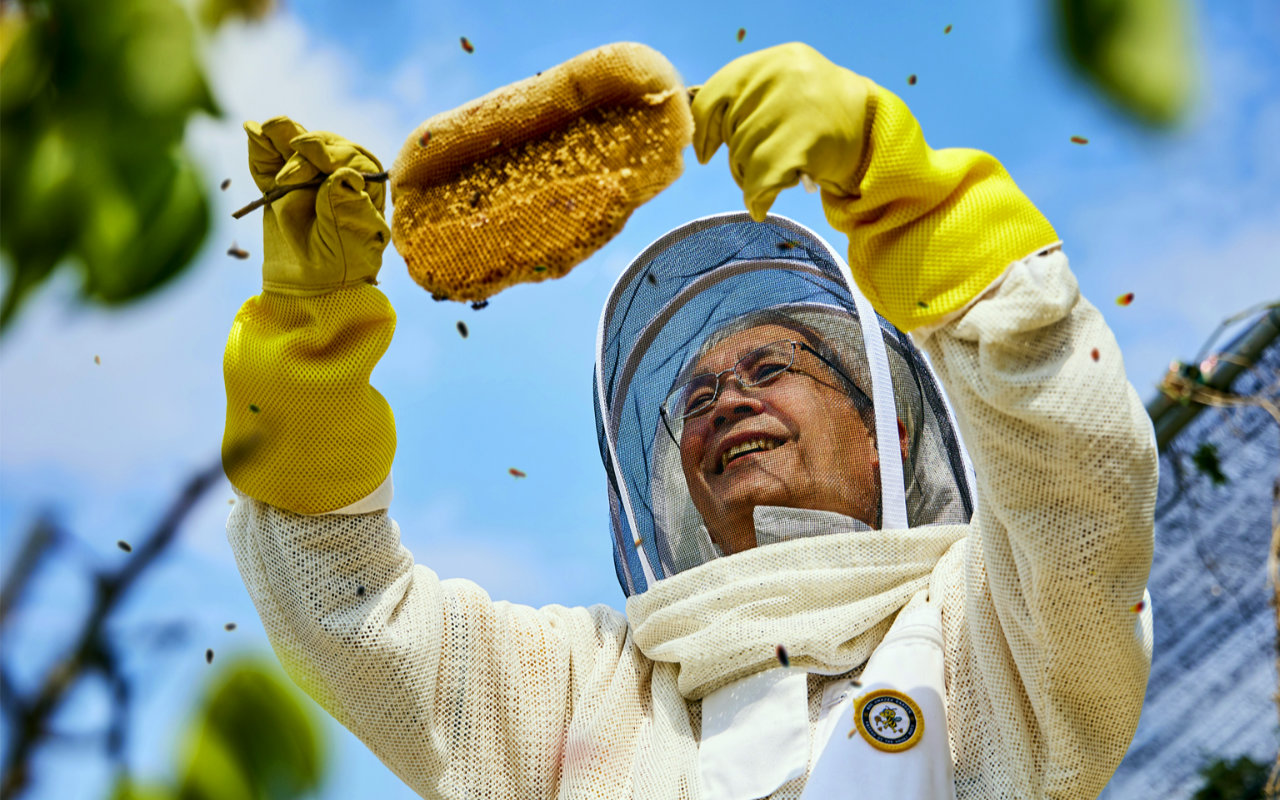 Human Library beekeeper