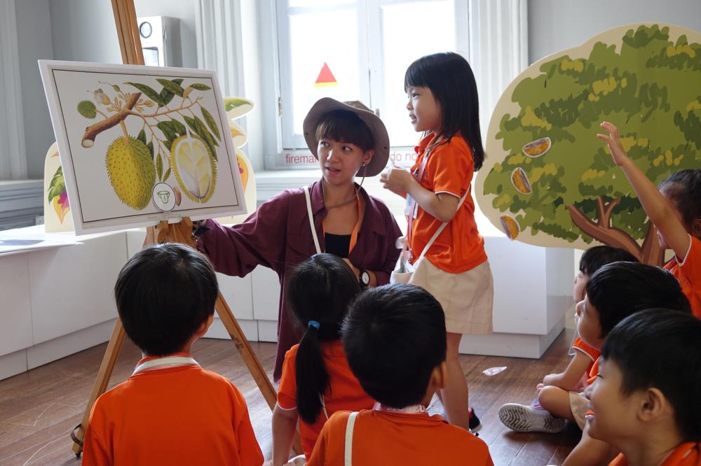 pre-school programmes