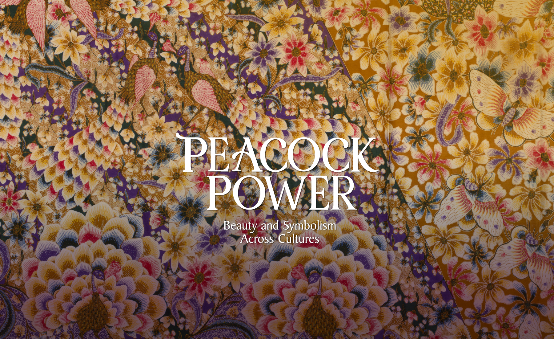 peacock_header