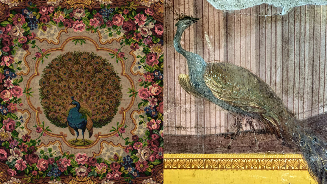 Whats On BannerPeacock Power Talk Series15 Jan 2026