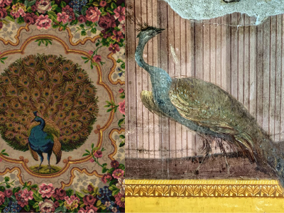 Whats On ThumbnailPeacock Power Talk Series15 Jan 2026